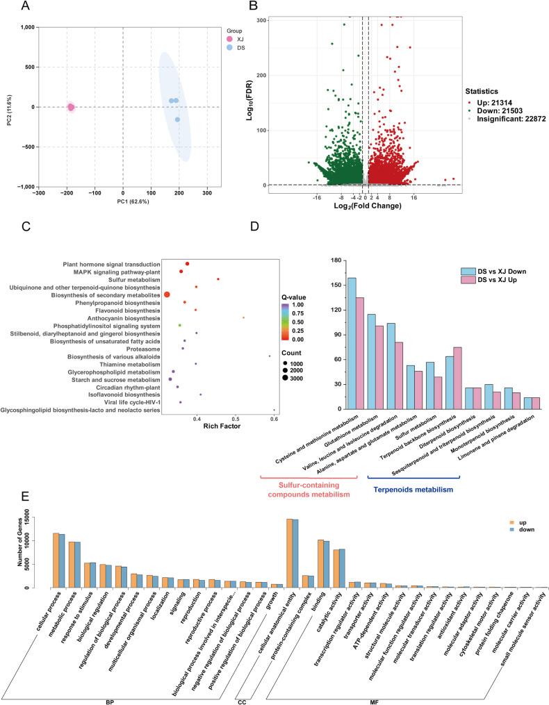https://cdn.ncbi.nlm.nih.gov/pmc/blobs/520f/12275395/f9e4ae855373/12870_2025_6969_Fig3_HTML.jpg