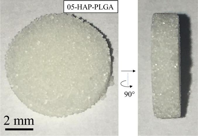 https://cdn.ncbi.nlm.nih.gov/pmc/blobs/5214/7606283/7eb7c03136ad/10856_2020_6442_Fig5_HTML.jpg