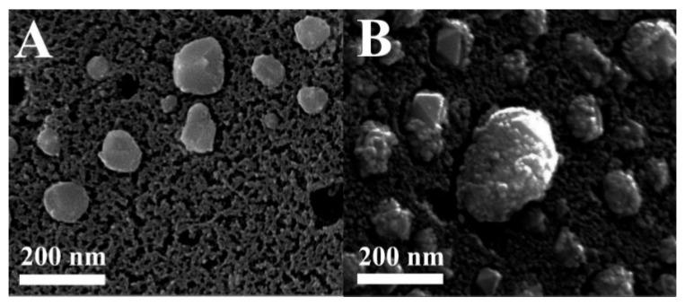 https://cdn.ncbi.nlm.nih.gov/pmc/blobs/5216/5455670/60220de018aa/materials-08-04593-g010.jpg