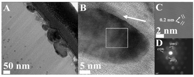 https://cdn.ncbi.nlm.nih.gov/pmc/blobs/5216/5455670/c1d1f7fc8607/materials-08-04593-g007.jpg
