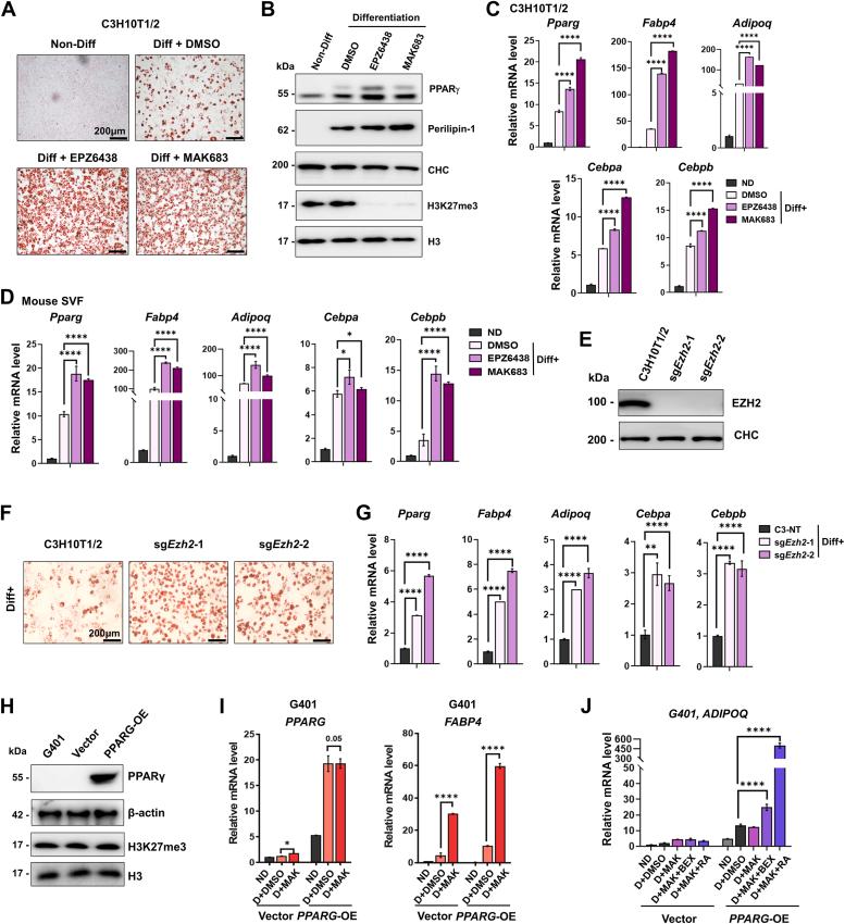 https://cdn.ncbi.nlm.nih.gov/pmc/blobs/5218/11533084/686f4cce3ab6/gr3.jpg
