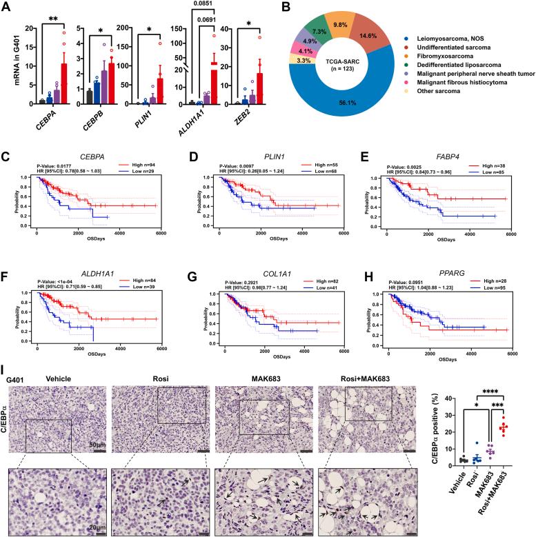 https://cdn.ncbi.nlm.nih.gov/pmc/blobs/5218/11533084/74dac18c040f/gr7.jpg