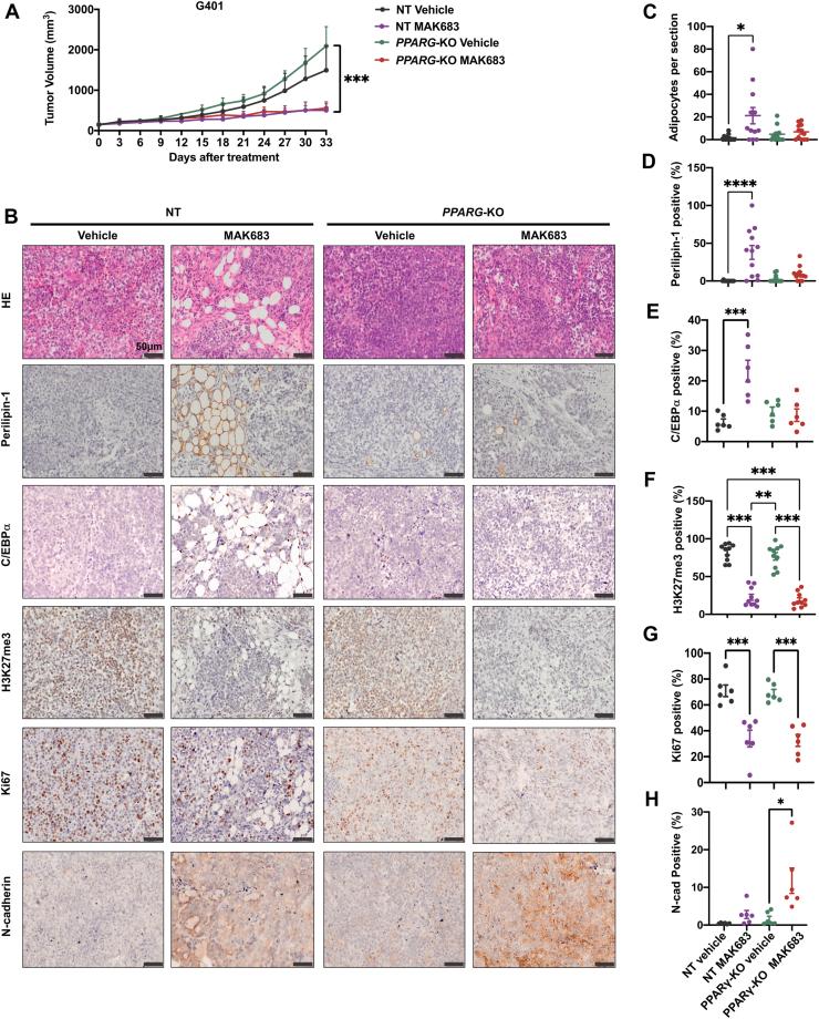 https://cdn.ncbi.nlm.nih.gov/pmc/blobs/5218/11533084/8544ea19823d/gr5.jpg