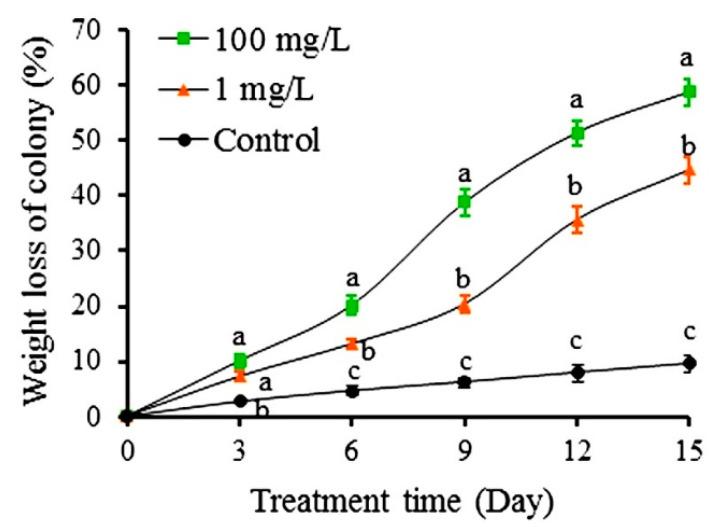 https://cdn.ncbi.nlm.nih.gov/pmc/blobs/5218/7700203/4bd010252206/toxins-12-00731-g004.jpg