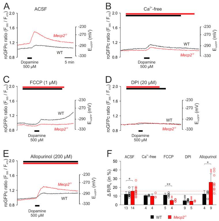 https://cdn.ncbi.nlm.nih.gov/pmc/blobs/5218/7760232/bc27a2d7ff63/cells-09-02539-g006.jpg