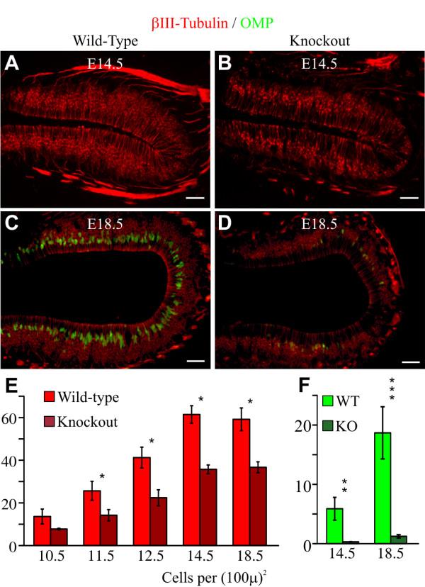 https://cdn.ncbi.nlm.nih.gov/pmc/blobs/521a/3057173/fe211cee948f/1749-8104-6-6-3.jpg