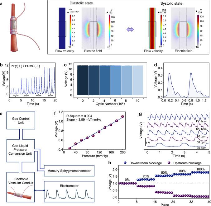 https://cdn.ncbi.nlm.nih.gov/pmc/blobs/521c/11920275/515a4a480513/41467_2025_58056_Fig3_HTML.jpg