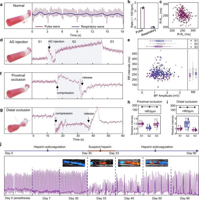 https://cdn.ncbi.nlm.nih.gov/pmc/blobs/521c/11920275/efba0f1639cd/41467_2025_58056_Fig4_HTML.jpg