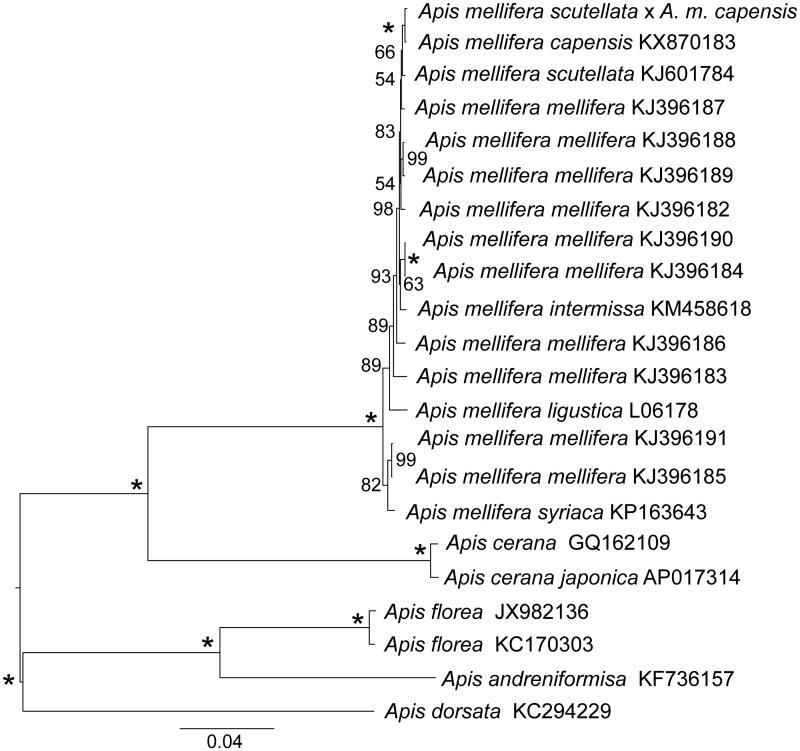 https://cdn.ncbi.nlm.nih.gov/pmc/blobs/521c/7800885/3a3a3c91abfe/TMDN_A_1250132_F0001_B.jpg