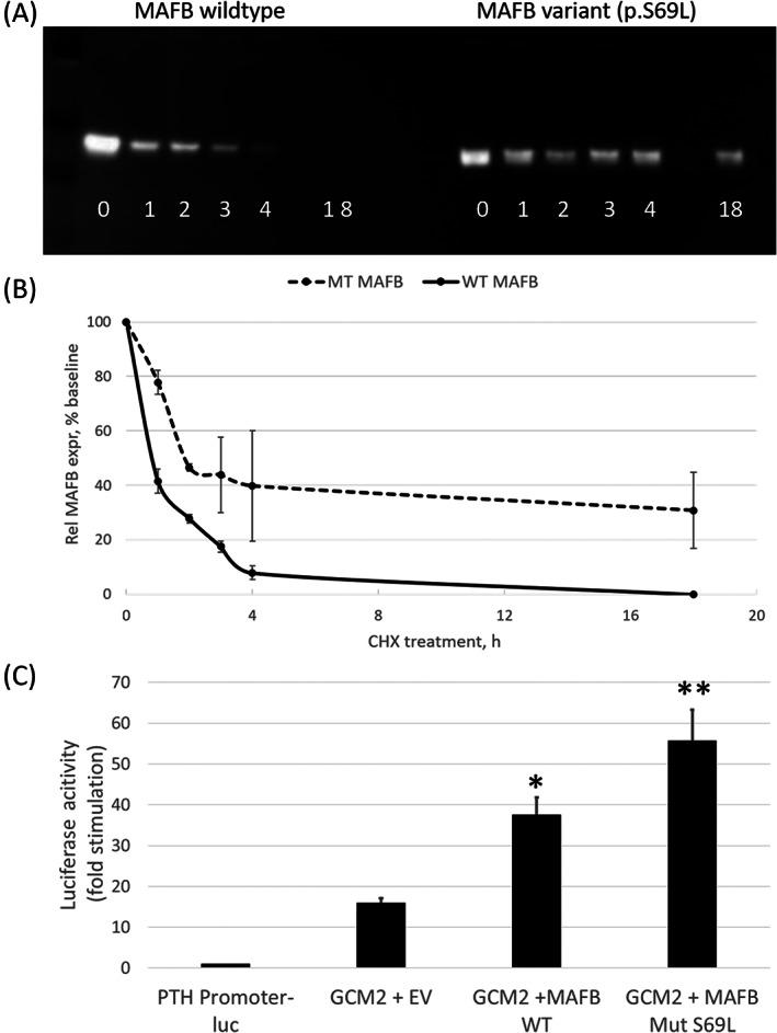 https://cdn.ncbi.nlm.nih.gov/pmc/blobs/521d/10184019/b31e2fe695ad/JBM4-7-e10729-g007.jpg