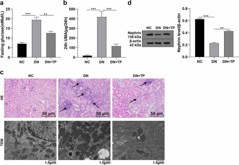 https://cdn.ncbi.nlm.nih.gov/pmc/blobs/521d/9275869/398d638962ed/KBIE_A_2067293_F0001_OC.jpg