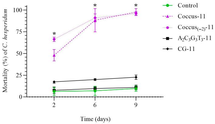 https://cdn.ncbi.nlm.nih.gov/pmc/blobs/521f/12347445/24af211027a0/ijms-26-07530-g001.jpg