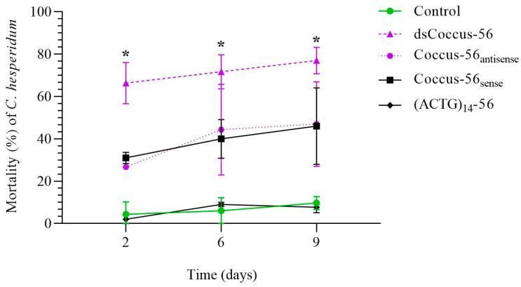 https://cdn.ncbi.nlm.nih.gov/pmc/blobs/521f/12347445/d061785b28ba/ijms-26-07530-g002.jpg