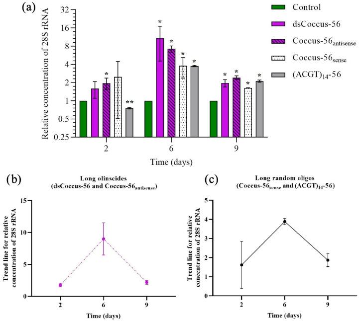 https://cdn.ncbi.nlm.nih.gov/pmc/blobs/521f/12347445/ea8a680d40f0/ijms-26-07530-g004.jpg