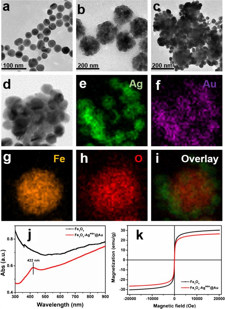 https://cdn.ncbi.nlm.nih.gov/pmc/blobs/5221/9685096/6ee31818a8cf/216_2022_4437_Fig2_HTML.jpg