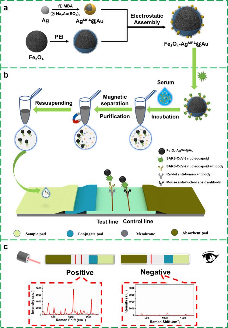 https://cdn.ncbi.nlm.nih.gov/pmc/blobs/5221/9685096/e77462a372b5/216_2022_4437_Fig1_HTML.jpg