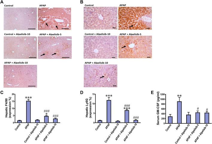 https://cdn.ncbi.nlm.nih.gov/pmc/blobs/5224/10441125/29bc328ee338/fphar-14-1212771-g008.jpg