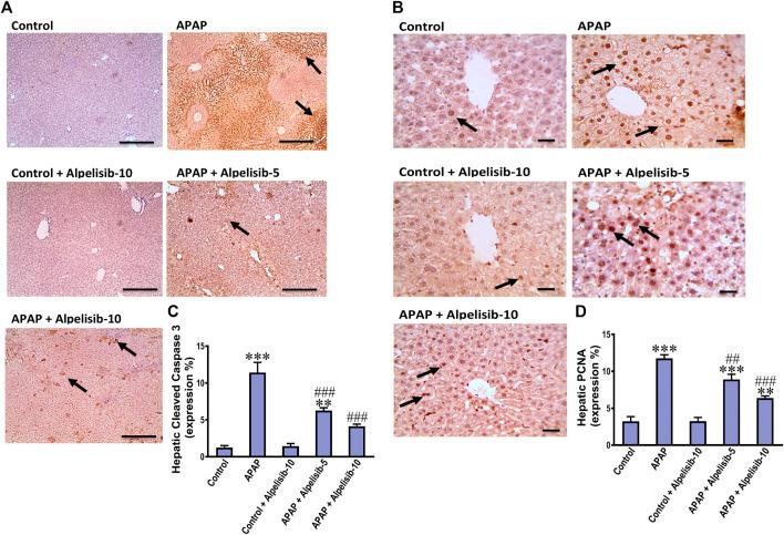 https://cdn.ncbi.nlm.nih.gov/pmc/blobs/5224/10441125/4e5995c7e059/fphar-14-1212771-g003.jpg