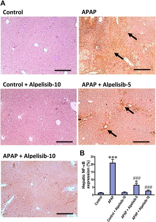 https://cdn.ncbi.nlm.nih.gov/pmc/blobs/5224/10441125/c2065f009cd5/fphar-14-1212771-g007.jpg