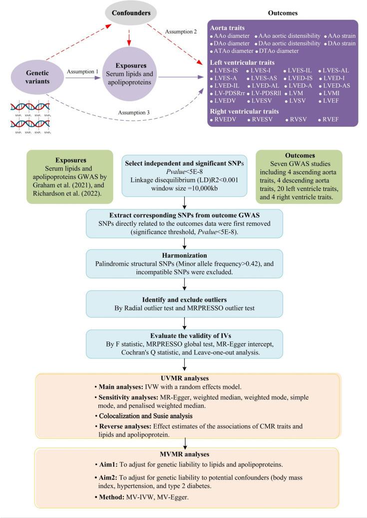 https://cdn.ncbi.nlm.nih.gov/pmc/blobs/5228/11564402/98ad296f95d3/12012_2024_9930_Fig1_HTML.jpg