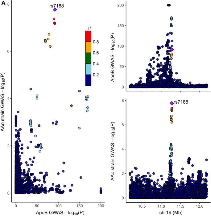 https://cdn.ncbi.nlm.nih.gov/pmc/blobs/5228/11564402/cbaed5d8dc2d/12012_2024_9930_Fig4a_HTML.jpg