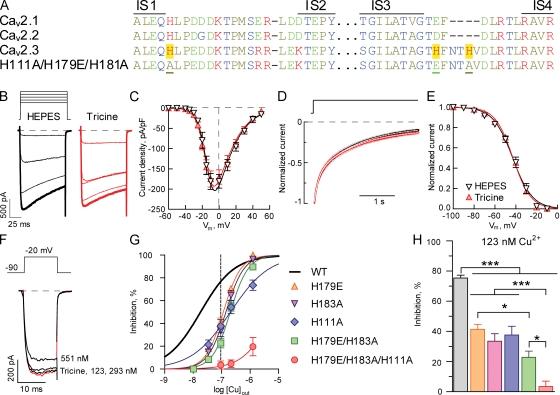 https://cdn.ncbi.nlm.nih.gov/pmc/blobs/5229/3289959/1dbfde231f7a/JGP_201110699_Fig8.jpg
