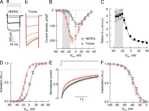 https://cdn.ncbi.nlm.nih.gov/pmc/blobs/5229/3289959/c8ef863ca014/JGP_201110699_Fig2.jpg