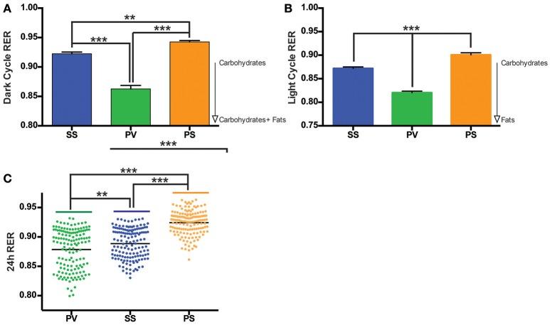 https://cdn.ncbi.nlm.nih.gov/pmc/blobs/522b/5838008/8f556dabf257/fnins-12-00104-g0005.jpg