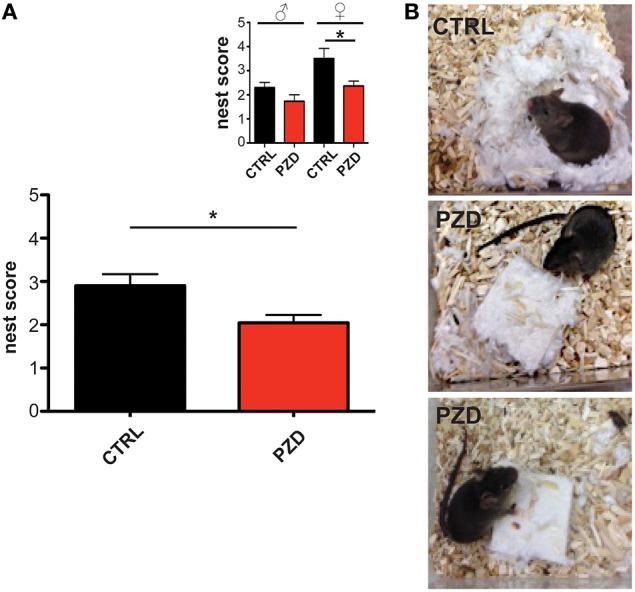 https://cdn.ncbi.nlm.nih.gov/pmc/blobs/522c/4776245/794ba4438937/fnbeh-10-00037-g0003.jpg