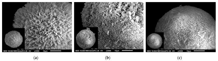 https://cdn.ncbi.nlm.nih.gov/pmc/blobs/522d/12158018/18006b4b0abf/polymers-17-01485-g004a.jpg