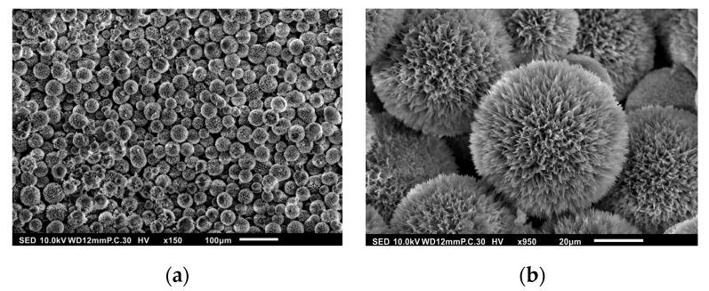 https://cdn.ncbi.nlm.nih.gov/pmc/blobs/522d/12158018/22b093f8d828/polymers-17-01485-g002.jpg