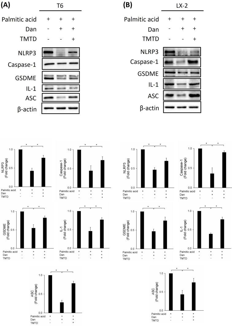 https://cdn.ncbi.nlm.nih.gov/pmc/blobs/522f/11983302/59696b9d2e2d/ijmsv22p1865g005.jpg