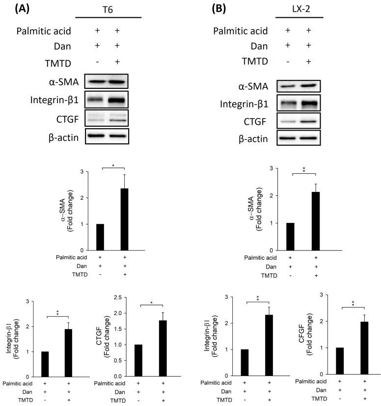 https://cdn.ncbi.nlm.nih.gov/pmc/blobs/522f/11983302/8cf15dc70100/ijmsv22p1865g004.jpg