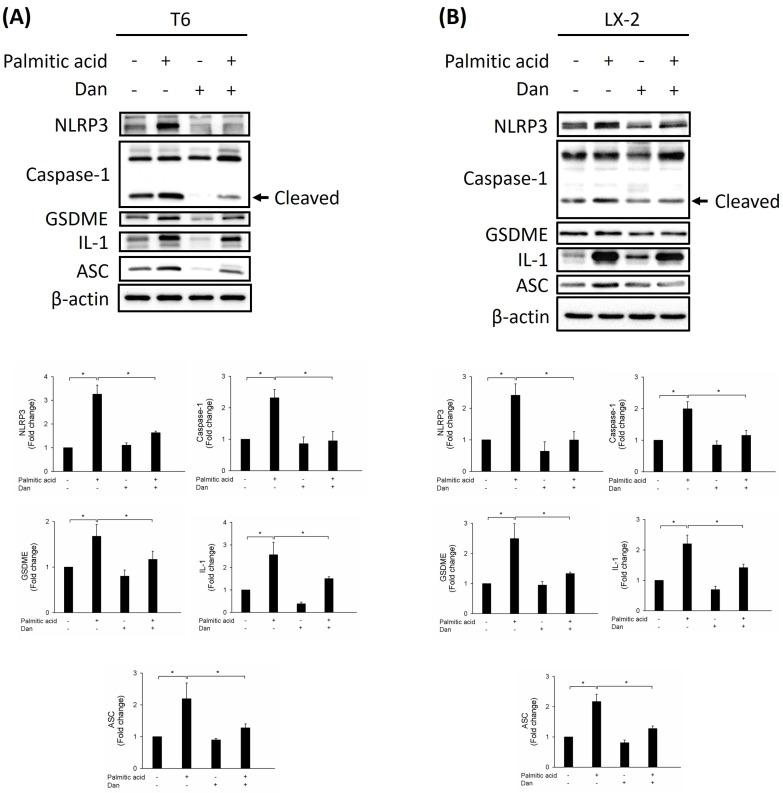 https://cdn.ncbi.nlm.nih.gov/pmc/blobs/522f/11983302/cbeefc4b7d1e/ijmsv22p1865g003.jpg