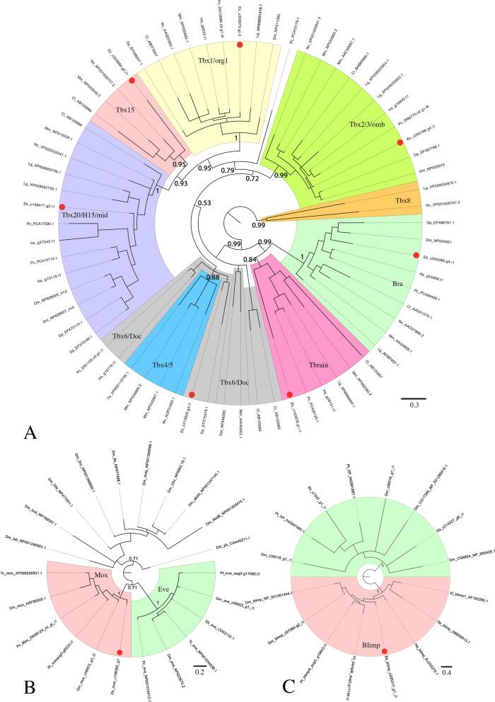 https://cdn.ncbi.nlm.nih.gov/pmc/blobs/5230/10809584/88db8c04b6db/12983_2024_521_Fig1_HTML.jpg