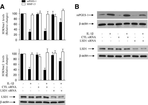 https://cdn.ncbi.nlm.nih.gov/pmc/blobs/5230/4060543/67d7c0d3bf83/ar4564-4.jpg