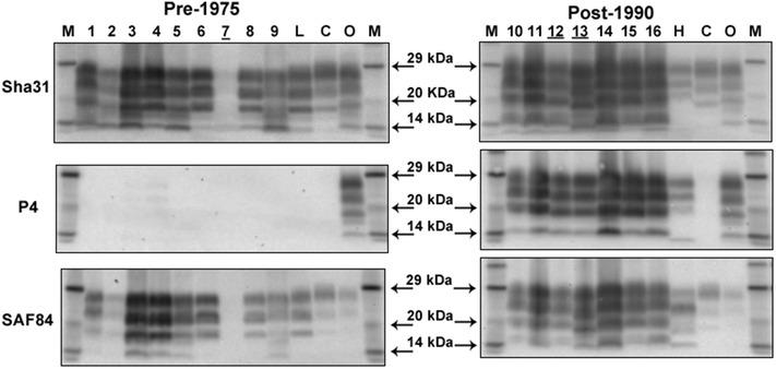 https://cdn.ncbi.nlm.nih.gov/pmc/blobs/5230/4618938/0514d47d872a/13104_2015_1260_Fig1_HTML.jpg