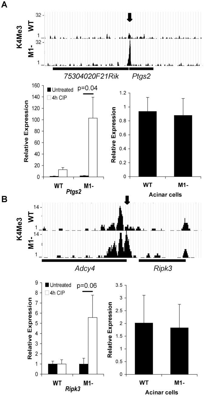 https://cdn.ncbi.nlm.nih.gov/pmc/blobs/5233/3897368/9493ad6b59dd/pone.0084182.g005.jpg