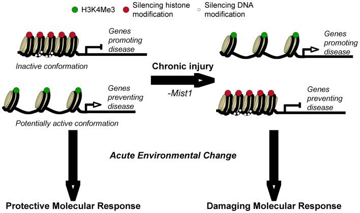 https://cdn.ncbi.nlm.nih.gov/pmc/blobs/5233/3897368/e2e720cd557c/pone.0084182.g007.jpg