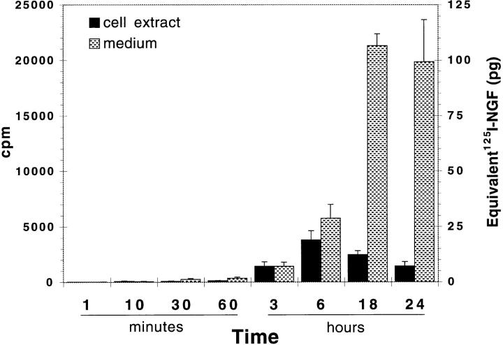 https://cdn.ncbi.nlm.nih.gov/pmc/blobs/5237/2138199/3a20bd05aa1e/JCB.32818f5.jpg