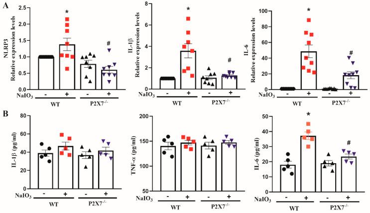 https://cdn.ncbi.nlm.nih.gov/pmc/blobs/5237/9854982/804b7e2c665a/antioxidants-12-00141-g005.jpg