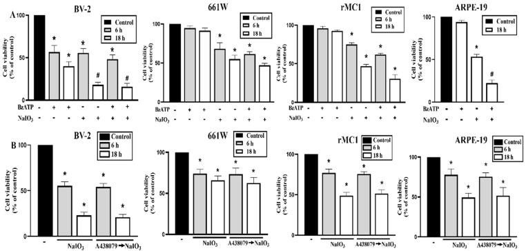 https://cdn.ncbi.nlm.nih.gov/pmc/blobs/5237/9854982/d50289499183/antioxidants-12-00141-g008.jpg