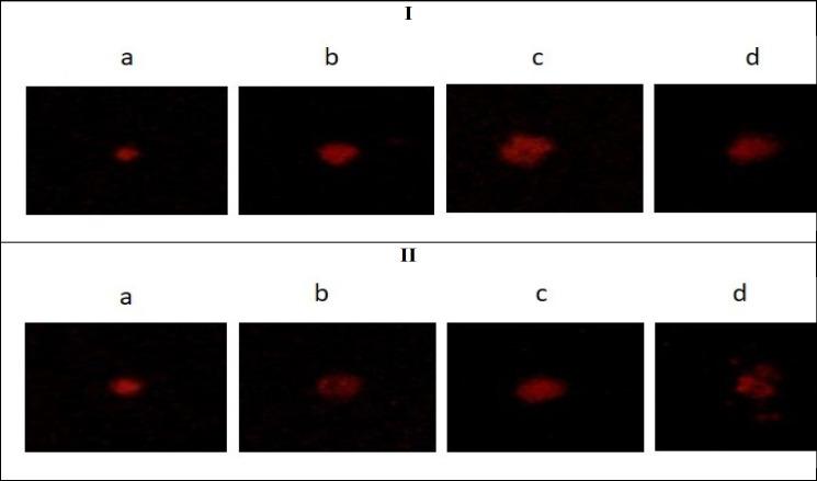 https://cdn.ncbi.nlm.nih.gov/pmc/blobs/523a/11162737/31a8ab11cae8/APJCP-25-1457-g010.jpg