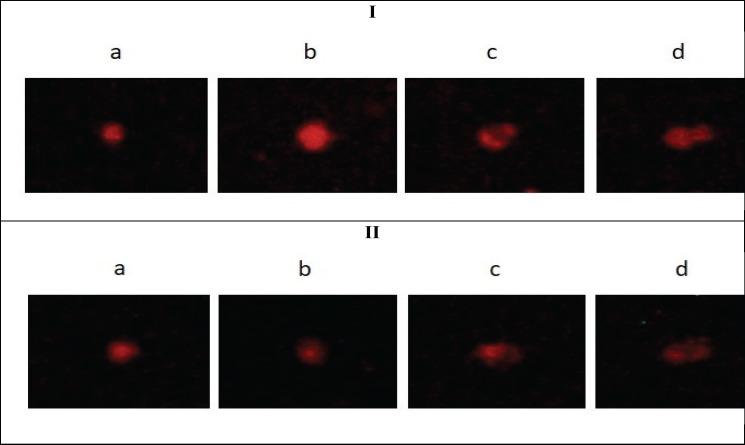https://cdn.ncbi.nlm.nih.gov/pmc/blobs/523a/11162737/390dddcb65cd/APJCP-25-1457-g008.jpg