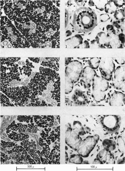 https://cdn.ncbi.nlm.nih.gov/pmc/blobs/523b/1363181/6107fa15824b/jphysiol01290-0061-a.jpg