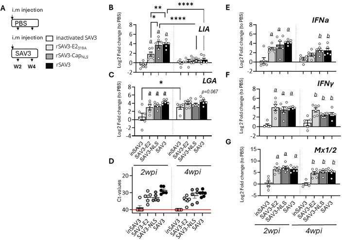 https://cdn.ncbi.nlm.nih.gov/pmc/blobs/523c/11695323/38223db36d3f/fimmu-15-1463345-g002.jpg