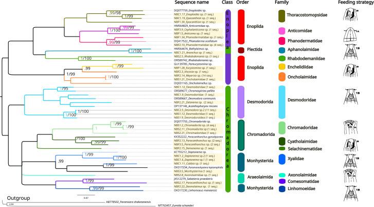 https://cdn.ncbi.nlm.nih.gov/pmc/blobs/523c/12317692/0ca9dd449f0f/peerj-13-19757-g006.jpg