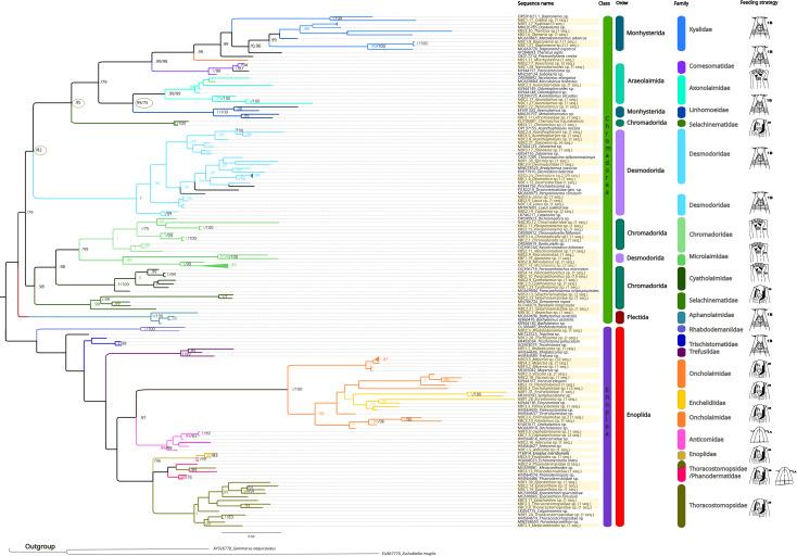 https://cdn.ncbi.nlm.nih.gov/pmc/blobs/523c/12317692/21ab6e014668/peerj-13-19757-g005.jpg