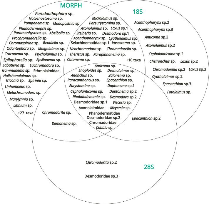 https://cdn.ncbi.nlm.nih.gov/pmc/blobs/523c/12317692/e85695d5c4a9/peerj-13-19757-g007.jpg