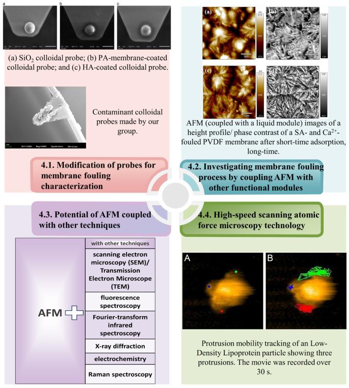 https://cdn.ncbi.nlm.nih.gov/pmc/blobs/523d/10890076/01fde0a02085/membranes-14-00035-g009.jpg